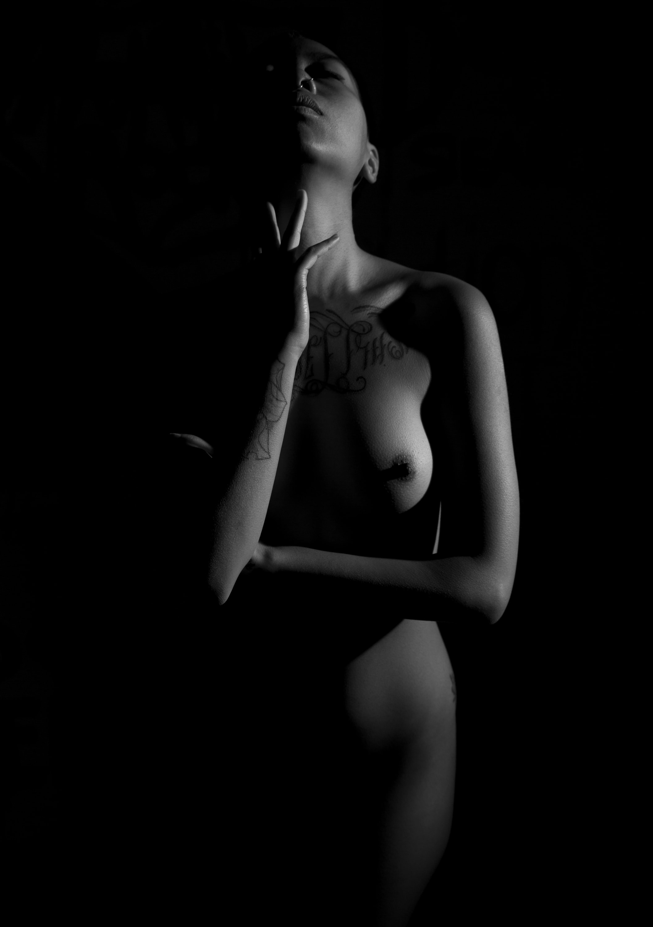 Art Nude — silhouette dramatic shadow